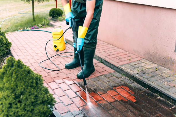 Best Fence Cleaning  in Morton, IL