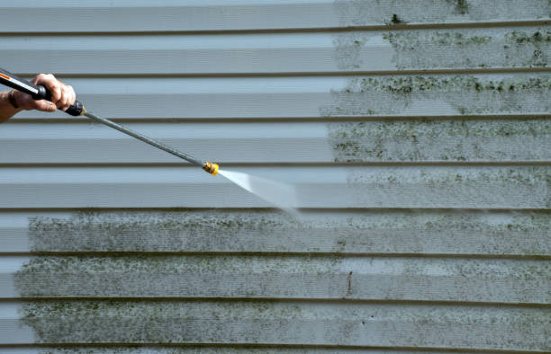 Best Dumpster Area Cleaning  in Morton, IL