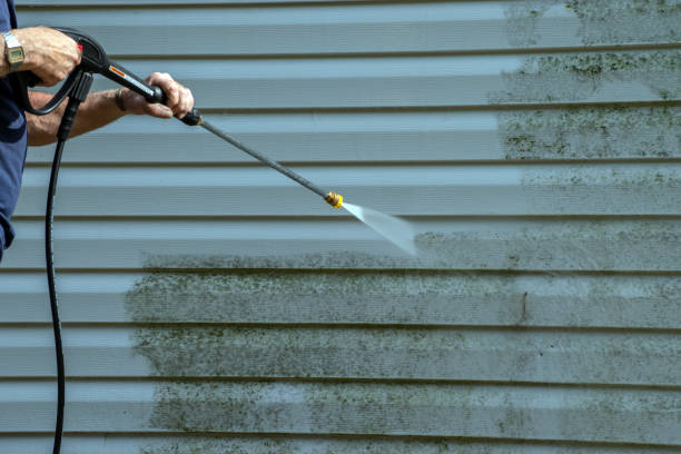 Best Gutter Cleaning  in Morton, IL