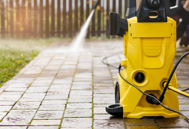 Animal Enclosure Cleaning in Morton, IL
